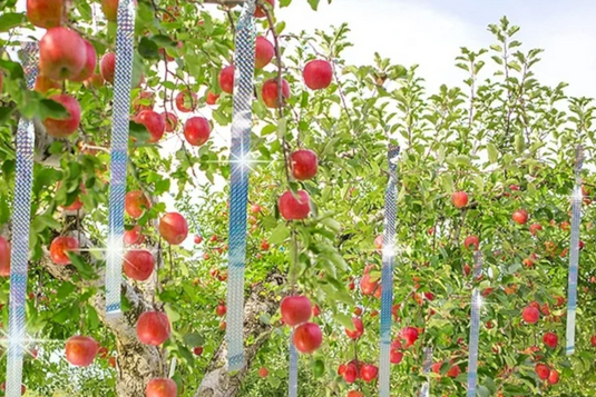Mantén a las Aves Alejadas con la Cinta Reflectante BIRD-X