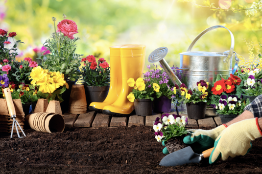Cómo Mantener un Jardín Saludable: Consejos Prácticos para el Cuidado de Plantas y el Uso de Productos Químicos