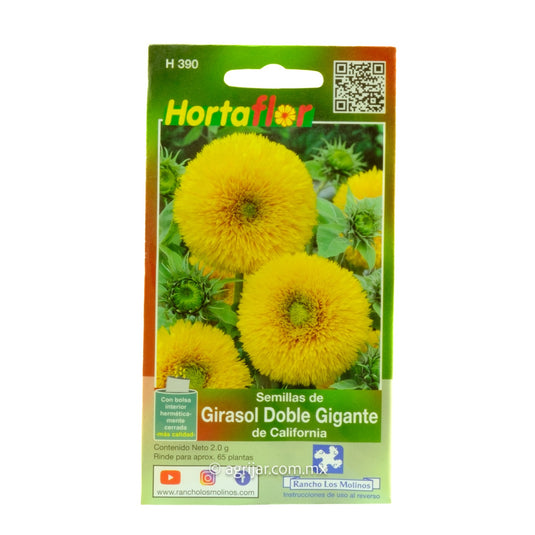 SEM HORT DE GIRASOL DOBLE GIGAN