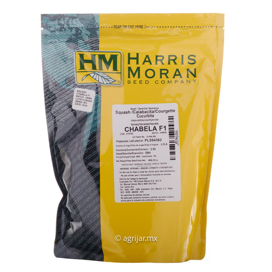 CALABACITA GRIS CHABELA 3 M