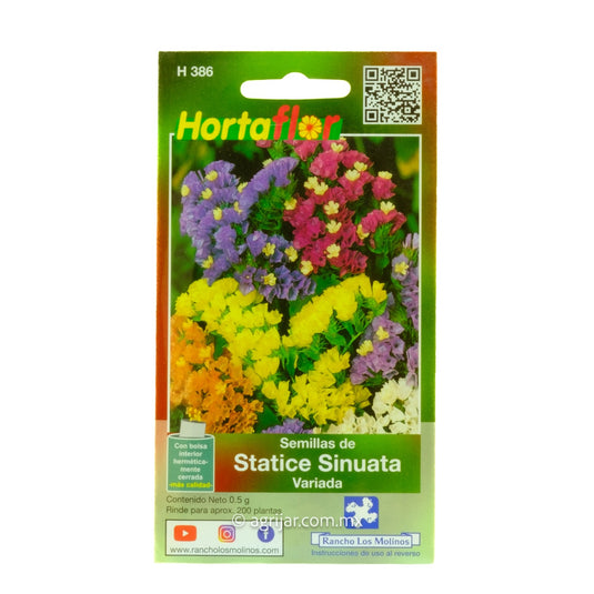 SEM HORT STATICE SINUATA VARIADA