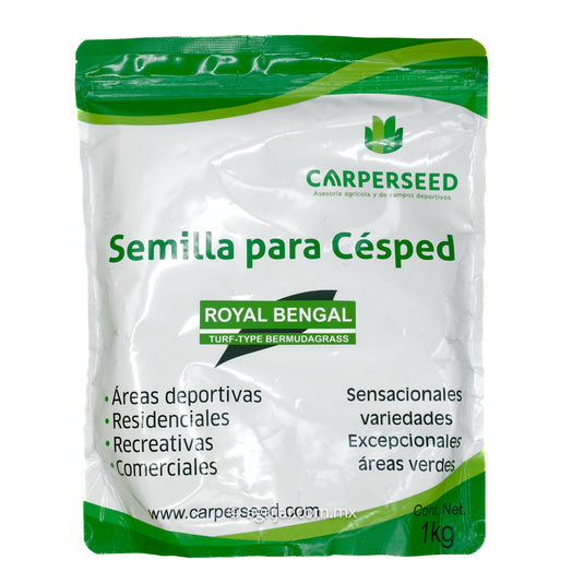 BERMUDA ROYAL BENGAL DE 1 KG