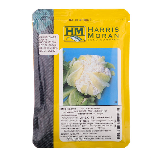 COLIFLOR APEX DE 25 MIL SEMILLAS