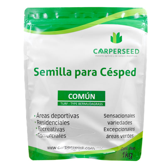 ZACATE BERMUDA COMUN DE 1 KILO