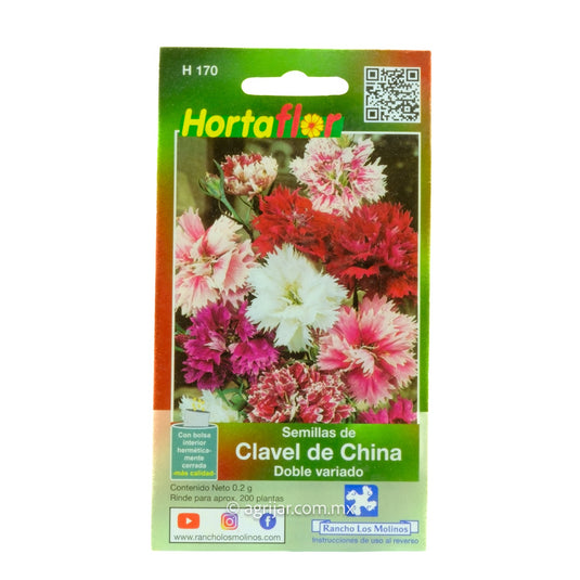 SEMILLA HORTAFLOR DE CLAVEL DE CHINA