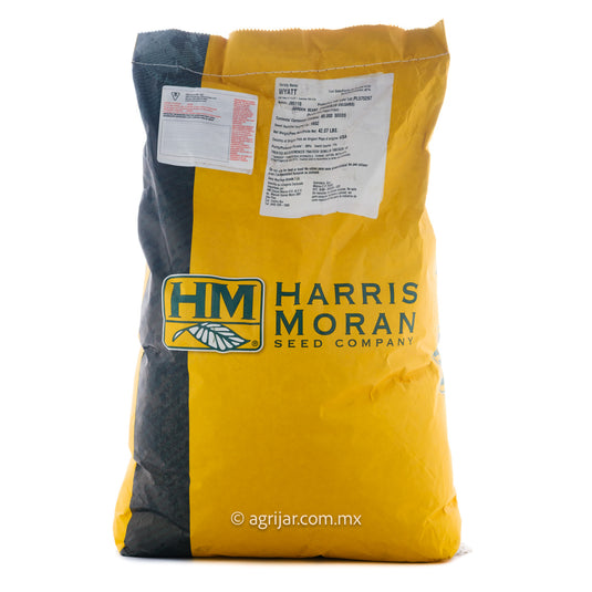 SEMILLA DE EJOTE WYATT 80KS