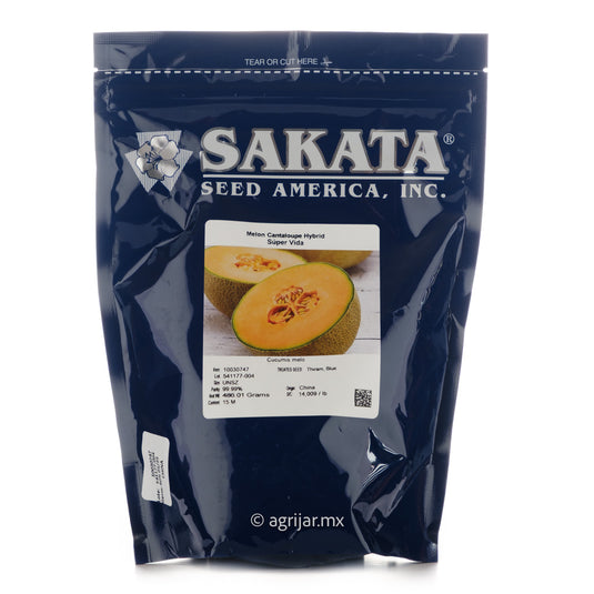 MELON SUPER VIDA 15M SEMILLAS