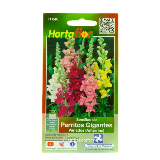 SH PERRITOS GIGANTES VARIADOS ANTERRINO