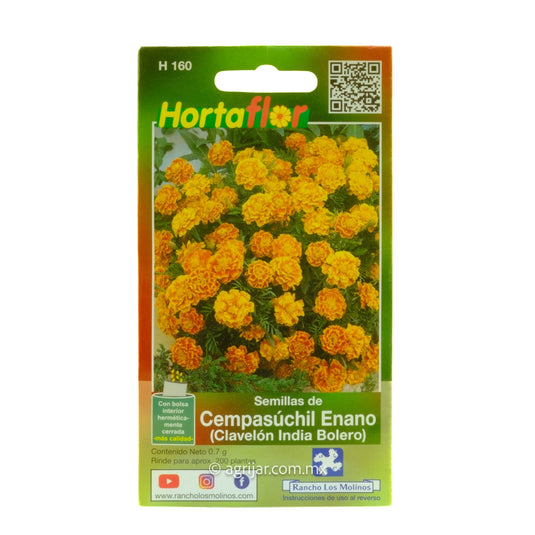 CEMPASUCHIL ENANO (CLAVELON INDIA BOLER)