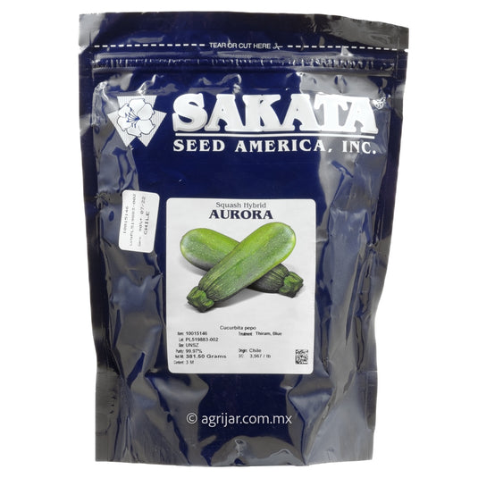 CALABAZA AURORA DE 3MIL SEMILLAS