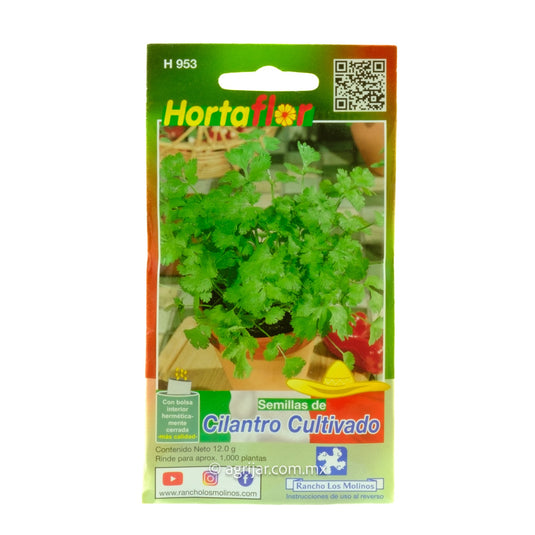 SEMILLA HORTAFLOR DE CILANTRO CULTIVADO