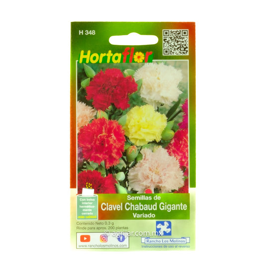 SH DE CLAVEL CHABAUD GIGANTE VARIADO