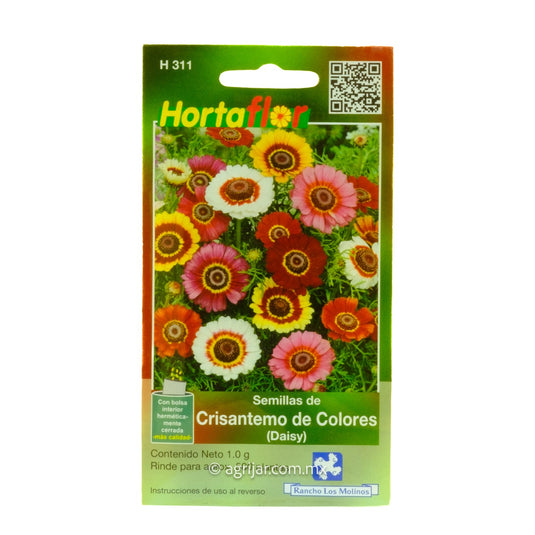 SEM HORT DE CRISANTEMO DE COLORES DAISY