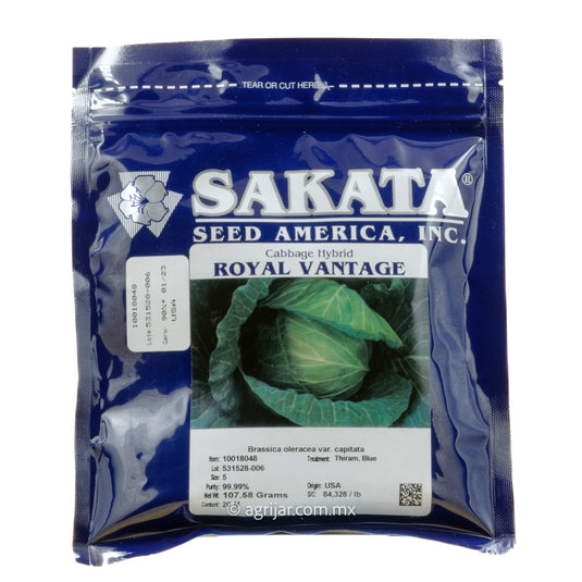 REPOLLO ROYAL VANTAGE DE 20MIL SEMILLAS